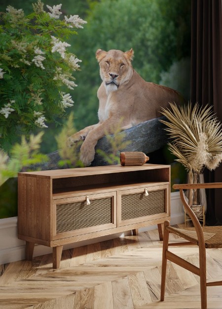 Picture of Lioness on rock