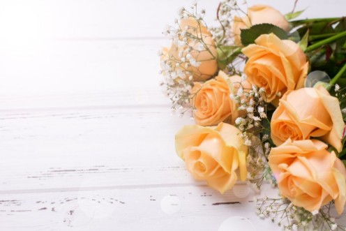 Image de Fresh peach color roses flowers on white wooden background in ray of light 