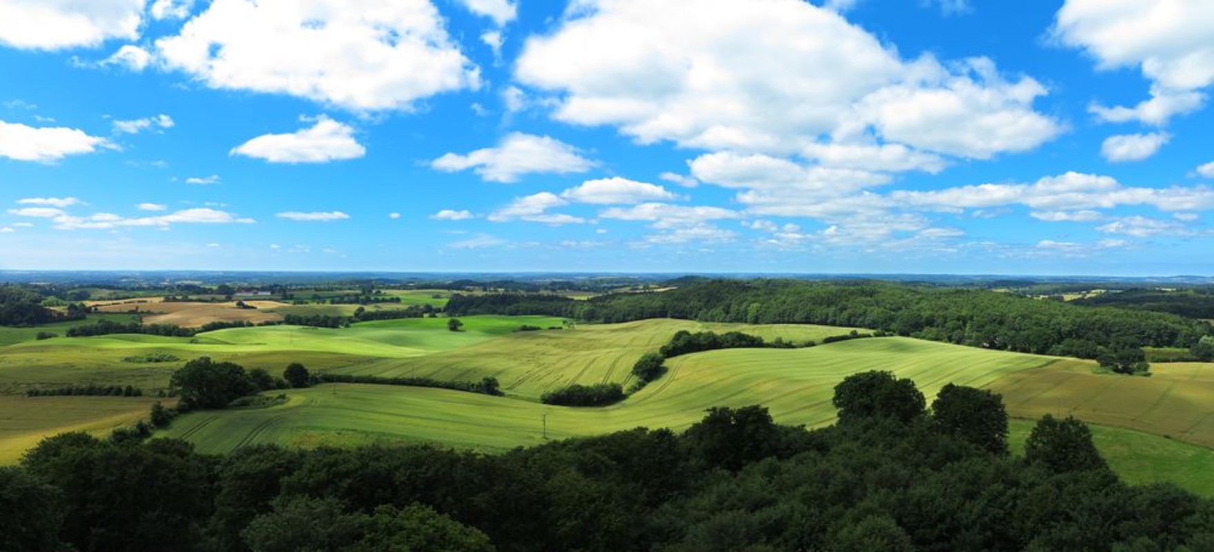 Afbeeldingen van Landschaft mit Hgeln und Getreidefeldern Panorama