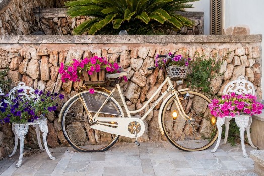 Bild på Blumendekoration mit Fahrrad