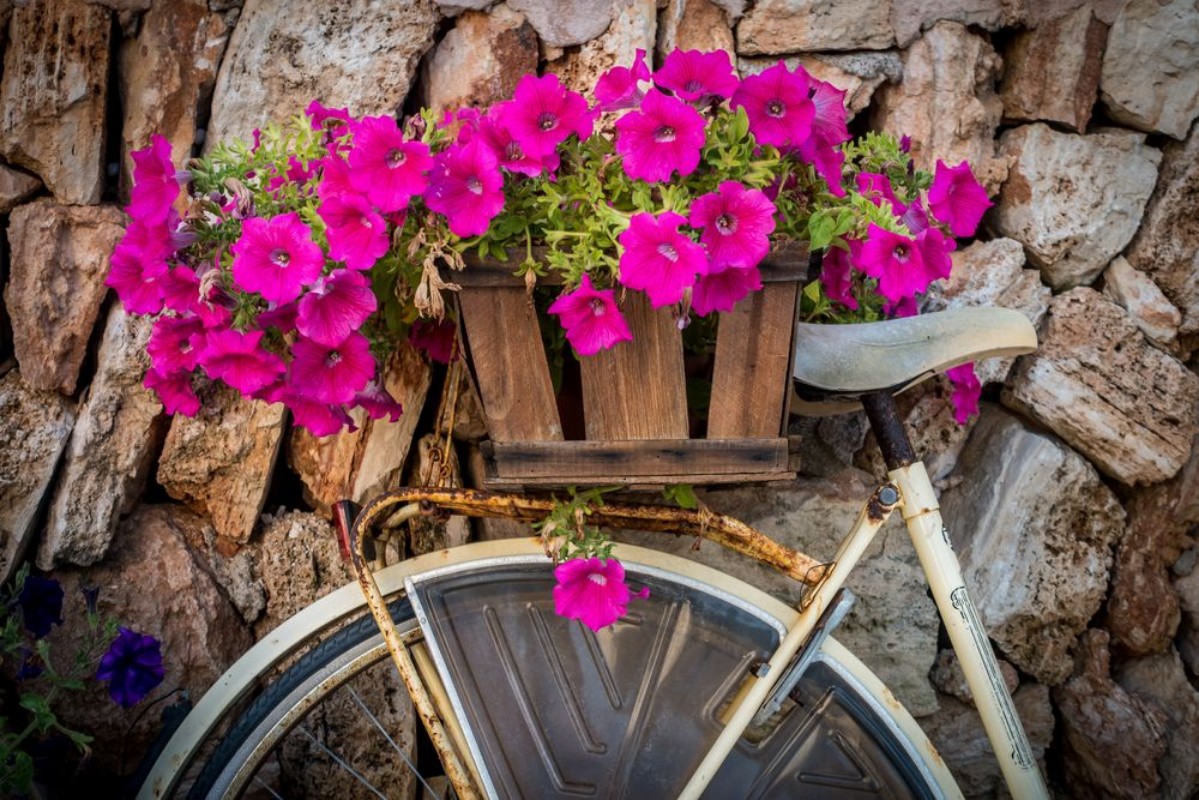Afbeeldingen van Blumendekoration mit Fahrrad