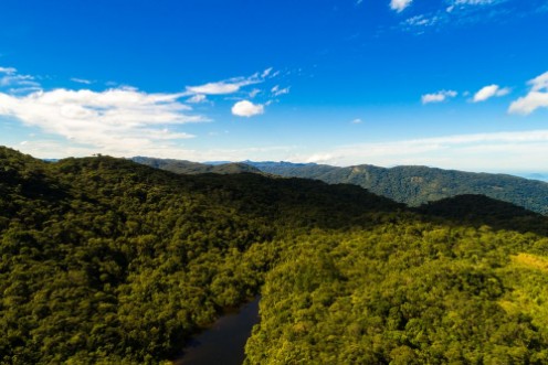 Bild på Aerial View of Mountains in Rainforest