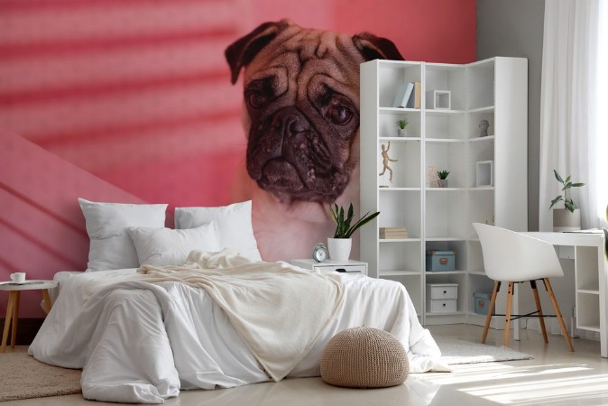 Image de Pug