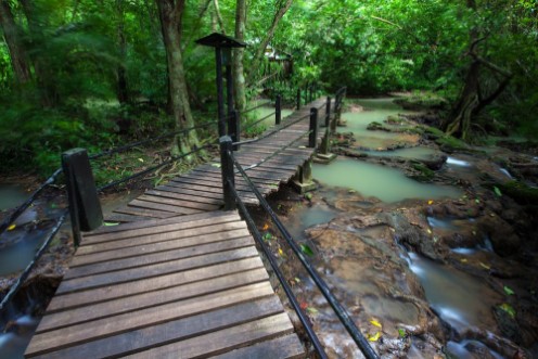 Afbeeldingen van Walkway wooden for study in nature rainforest on national park at Thailand