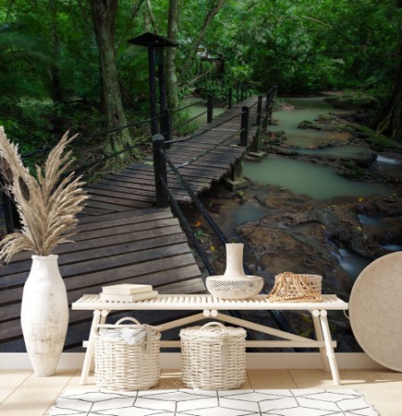 Picture of Walkway wooden for study in nature rainforest on national park at Thailand