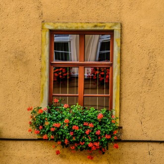 Afbeeldingen van Window in Jelenia Gora