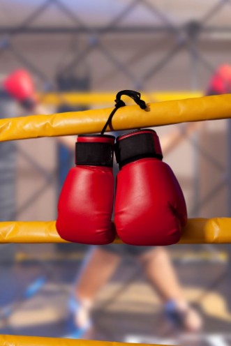 Picture of Red boxing gloves hangs off the boxing ring