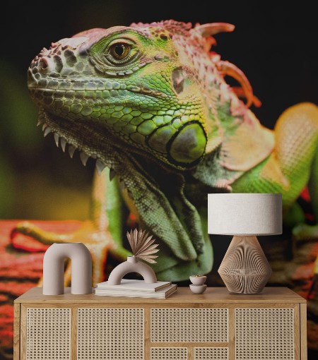 Image de Green Iguana