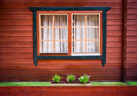 Picture of Windows with curtains and some green flowers on painted wooden house