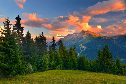 Picture of Evening Alps France