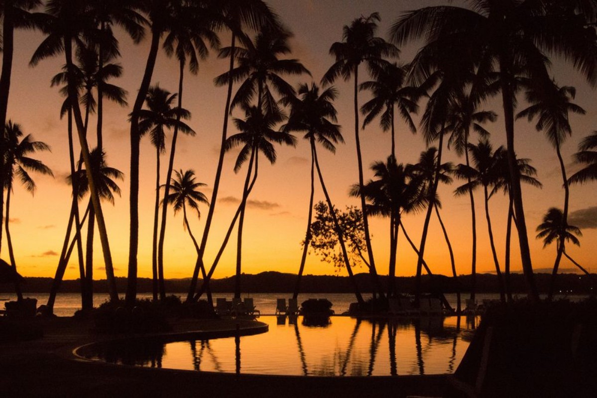Afbeeldingen van Sunset with palm tree silhouettes in Fiji