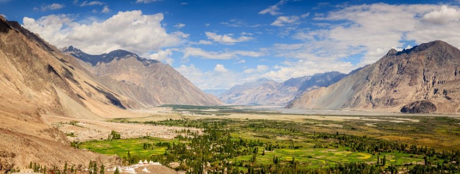 Picture of Nubra Valley