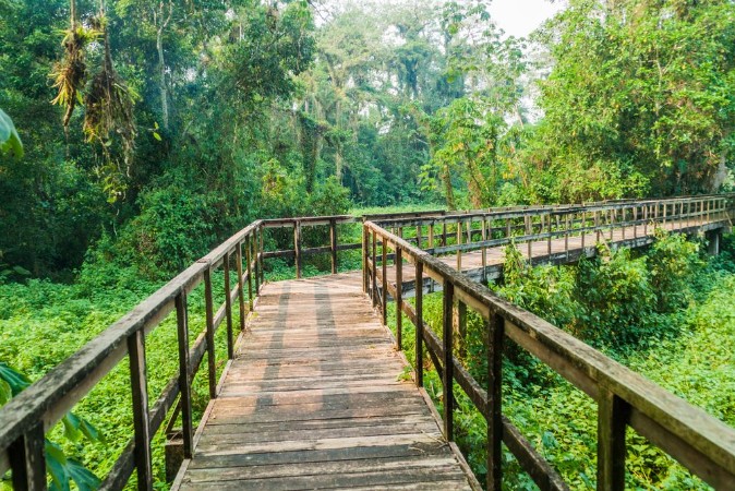 Picture of Boardwalk in eco-archaeological park Los Naranjos Honduras