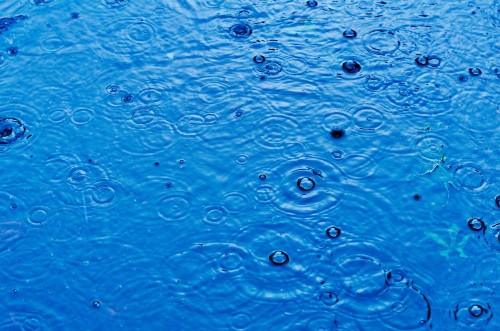 Picture of Rain drops on the surface of a street road on a rainy day toned blue