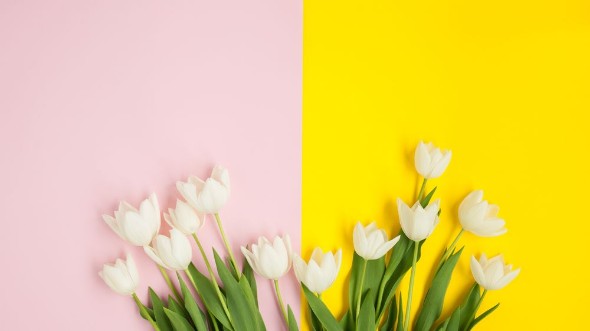 Bild på Pink and yellow surface with tulips