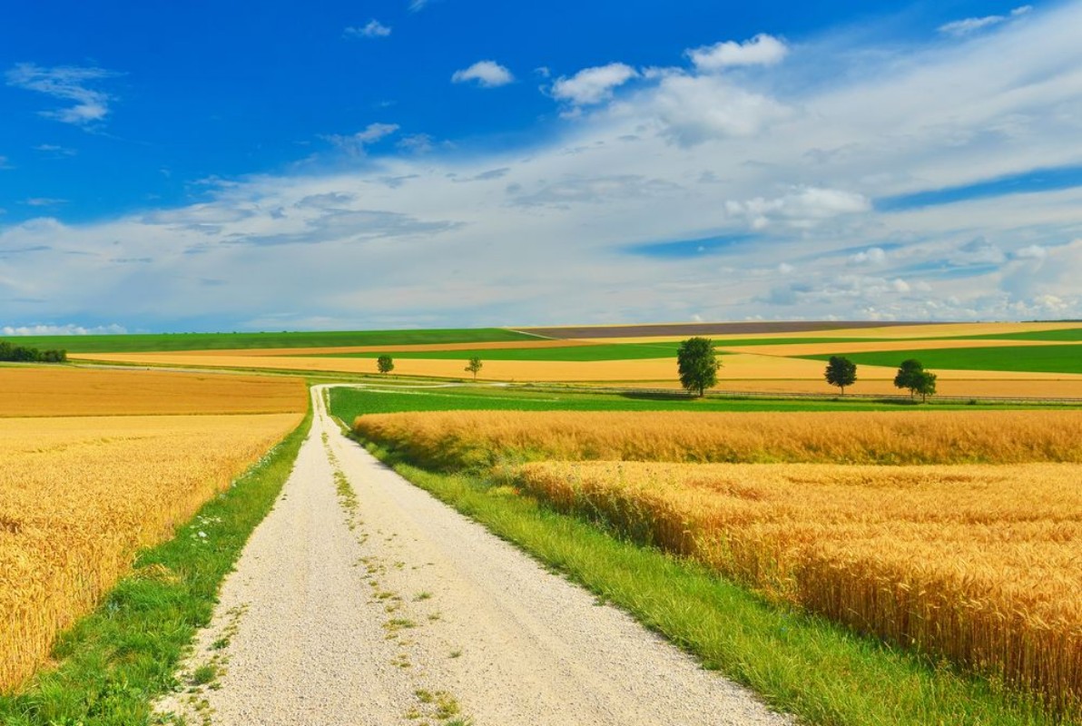 Afbeeldingen van Country road