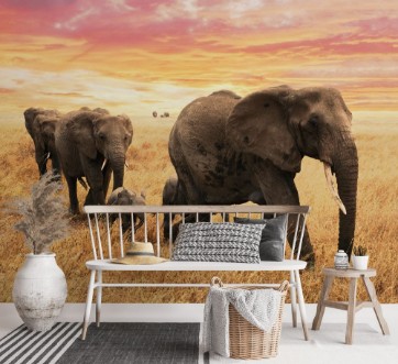 Afbeeldingen van Familie Elefanten auf Pfad in Savanne