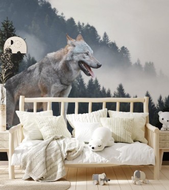 Image de Wolf in mountains