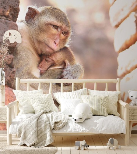Afbeeldingen van Mother Monkey Hug Baby