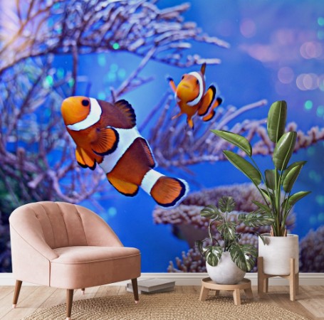 Afbeeldingen van Clownfish Amphiprioninae in aquarium tank with reef as background