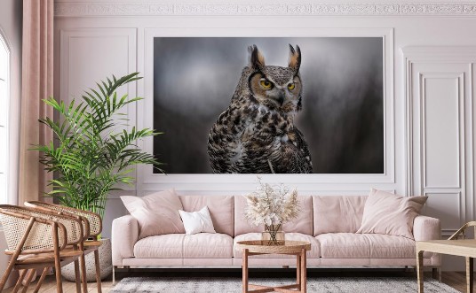 Afbeeldingen van Grey Horned Owl