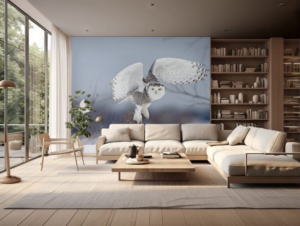 Image de Snowy owl Bubo scandiacus lifts off to hunt over a snow covered field in Canada