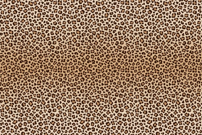 Picture of Background animal leopard texture Vector