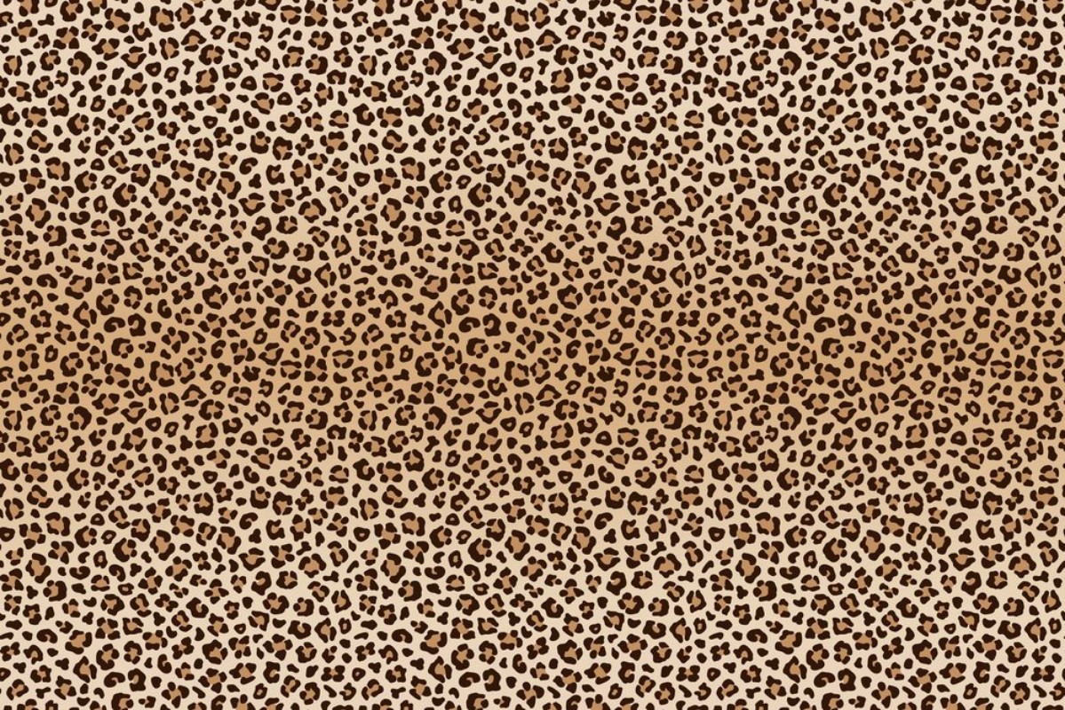 Image de Background animal leopard texture Vector