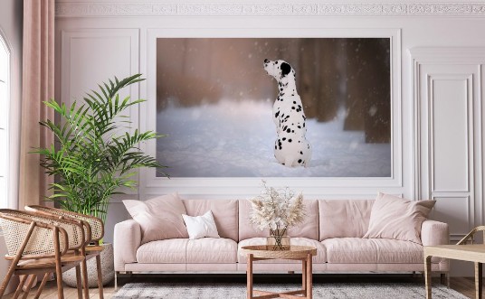 Picture of Dog on winter background