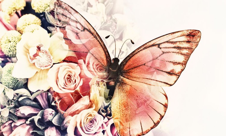 Bild på Butterfly with flowers