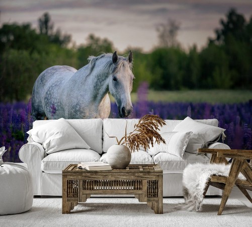 Bild på Portrait of a grey horse among lupine flowers