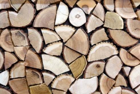 Afbeeldingen van Stacked log of firewood as a background 