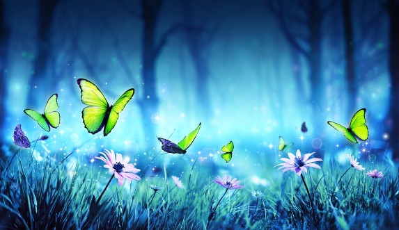 Bild på Fairy Butterflies In Mystic Forest
