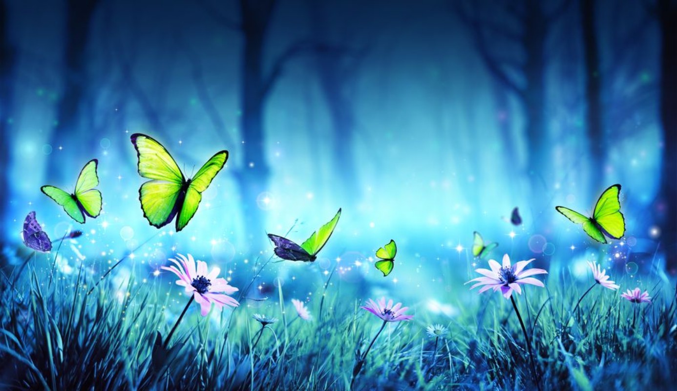 Afbeeldingen van Fairy Butterflies In Mystic Forest