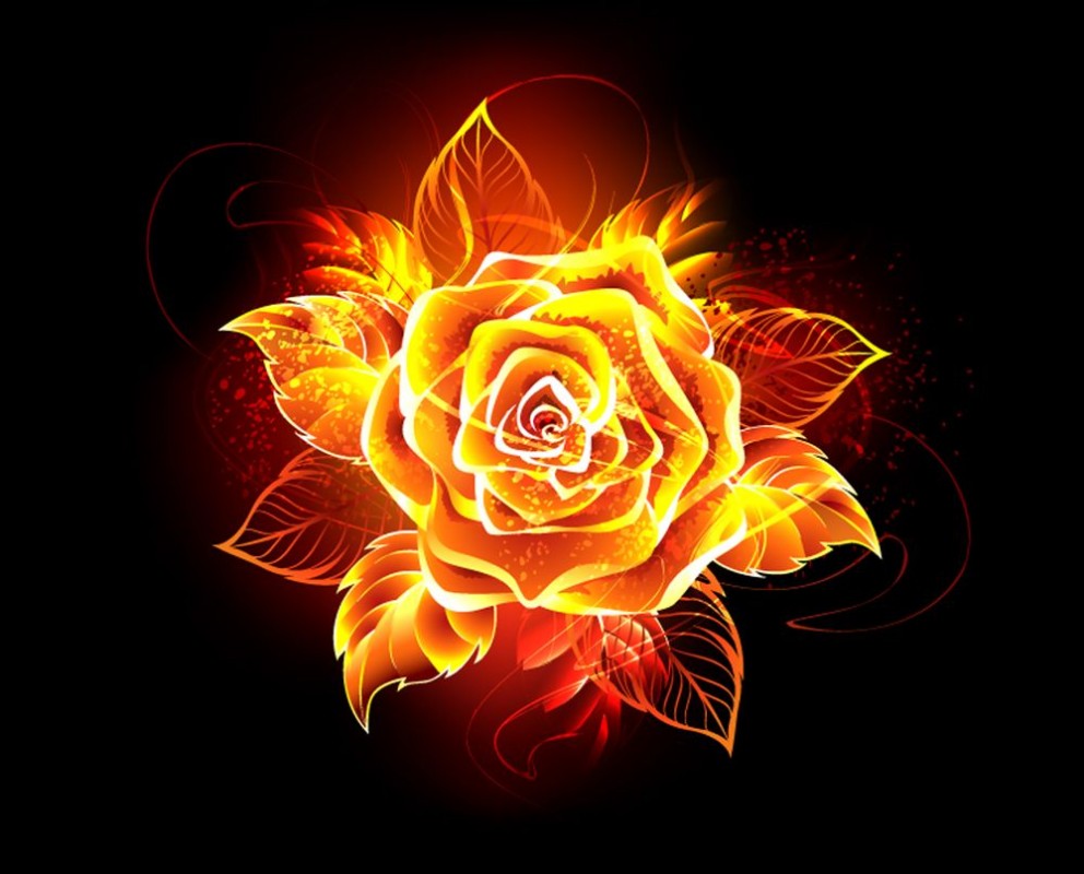 Bild på Blooming fire rose