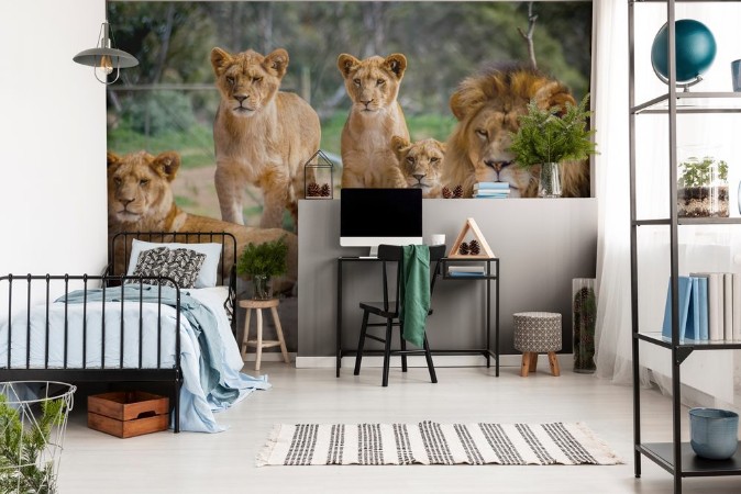 Picture of Lion Family