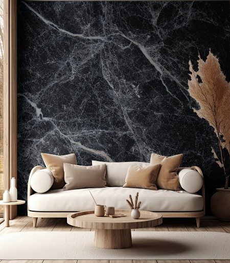 Image de Black marble white veins