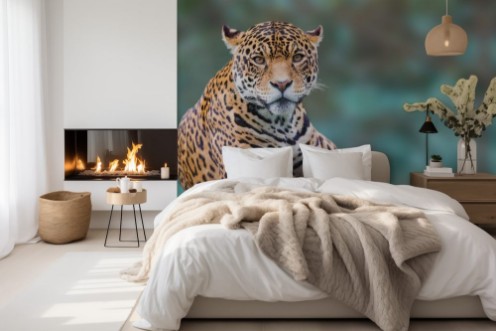 Bild på Leopard looking at camera portrait
