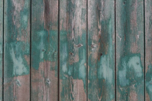 Bild på Gray and green weathered boards Natural background of wood