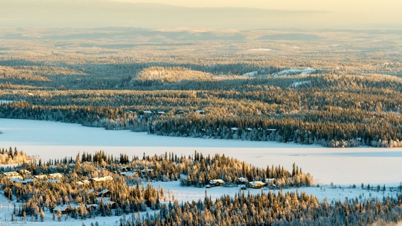 Picture of Frozen lake and spruce forest in winter Finland Ruka