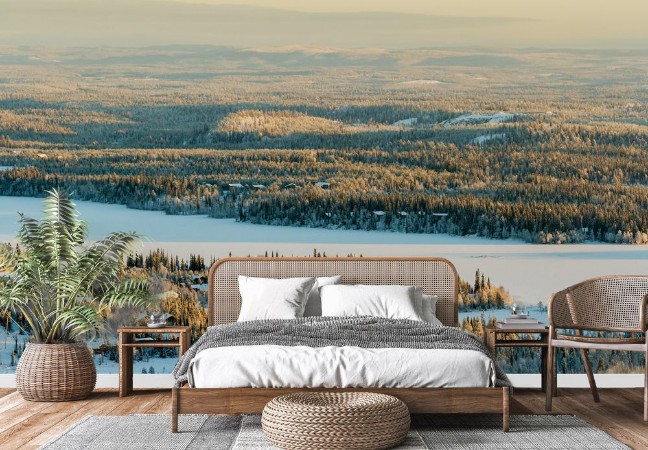 Picture of Frozen lake and spruce forest in winter Finland Ruka