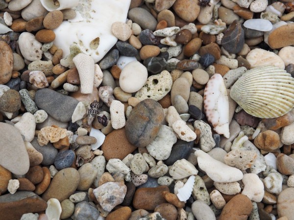 Image de Rock on the beach