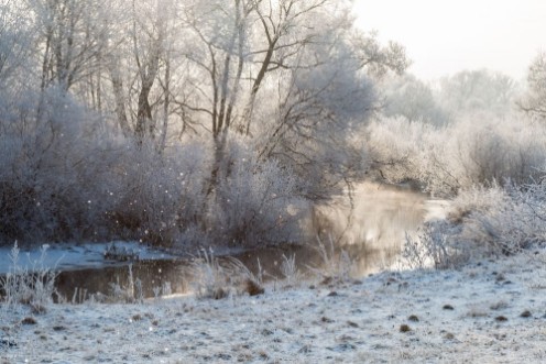 Image de Winter landscape - frosty trees in sunny morning Tranquil winter nature in sunlight