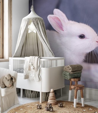 Afbeeldingen van White bunny rabbit looking frontward to viewer Little bunny sitting on sofa Lovely pet for children and family inside house