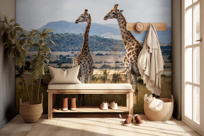 Picture of Giraffes in Pilanesberg National Park in South Africa