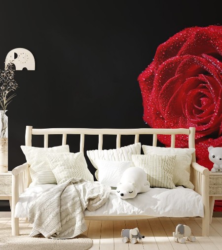 Image de Red Rose