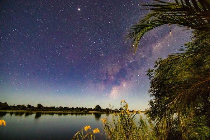 Afbeeldingen van Milchstrae ber dem Okavango mit Palmen