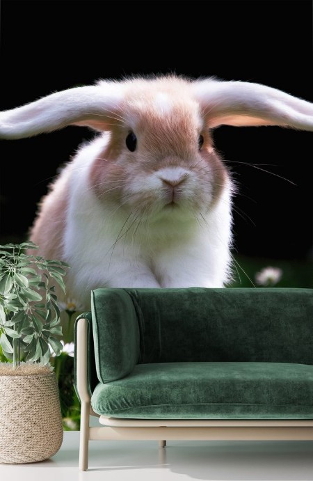 Picture of Ses Kaninchen springt glcklich im Gras zu Ostern Cute Bunny jumping in Green gras 