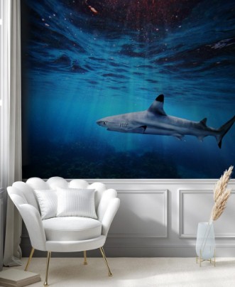 Afbeeldingen van Blacktip reef shark swiming in deep blue sea with light rays underwater