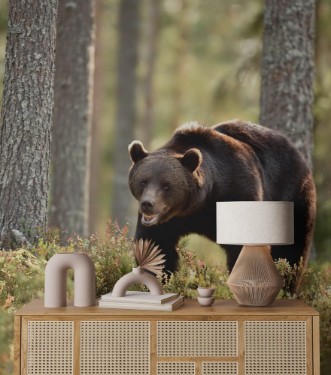Bild på Brown bear in the summer forest natural habitat